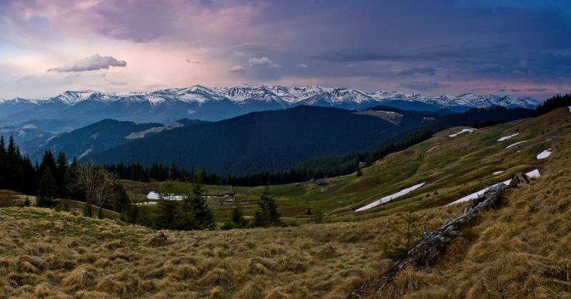 На офіційному сайті Офісу Президента України з п'ятої спроби вдалося зареєструвати петицію, що стосується охорони Карпатських гір.